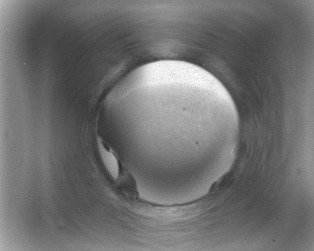 X0000065970023200603311850