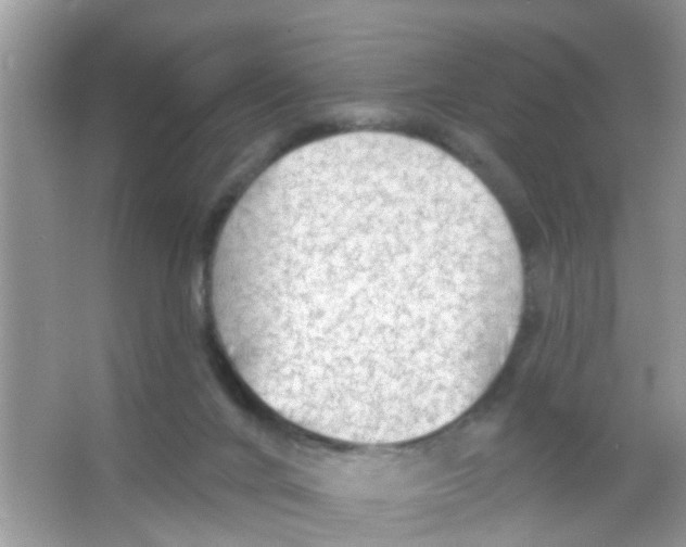 X0000065970024200603311850