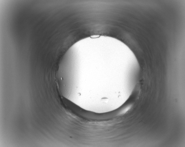 X0000065970025200603311850