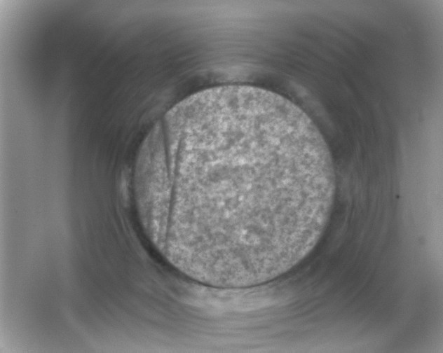 X0000065970026200603311850