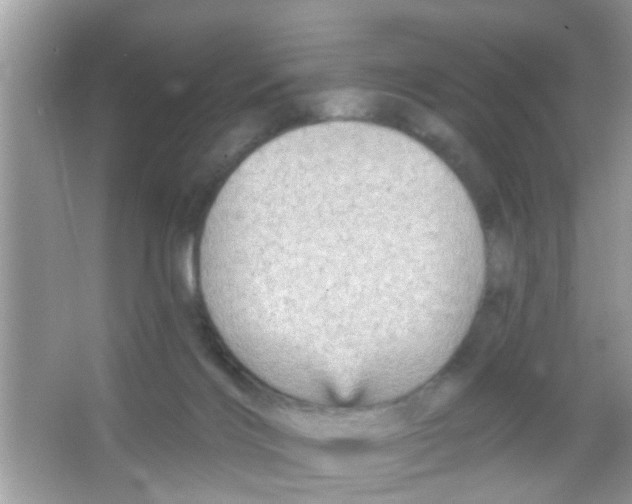 X0000065970028200603311850