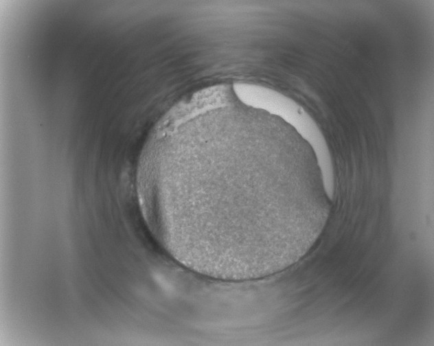 X0000065970029200603311850