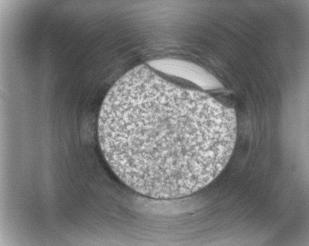 X0000065970030200603311850