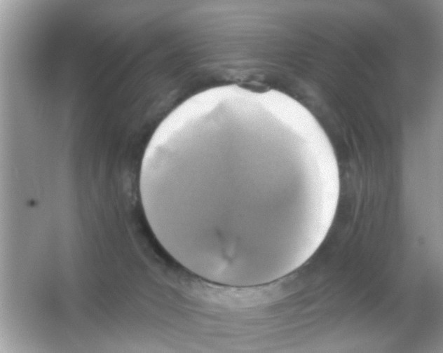 X0000065970031200603311850