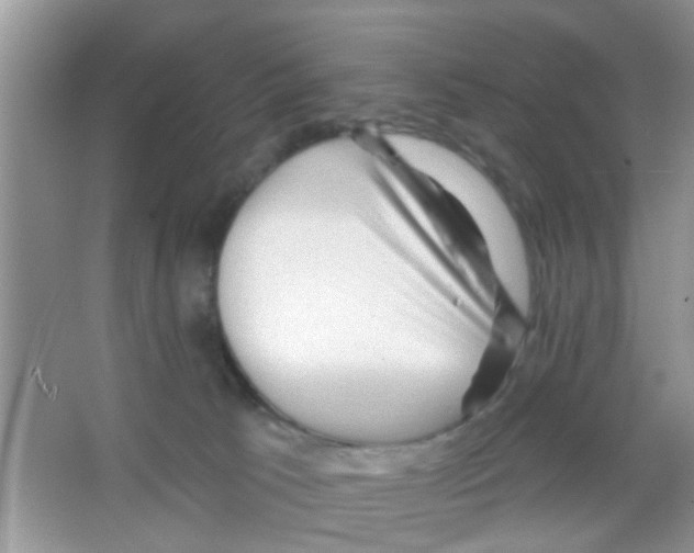 X0000065970033200603311850