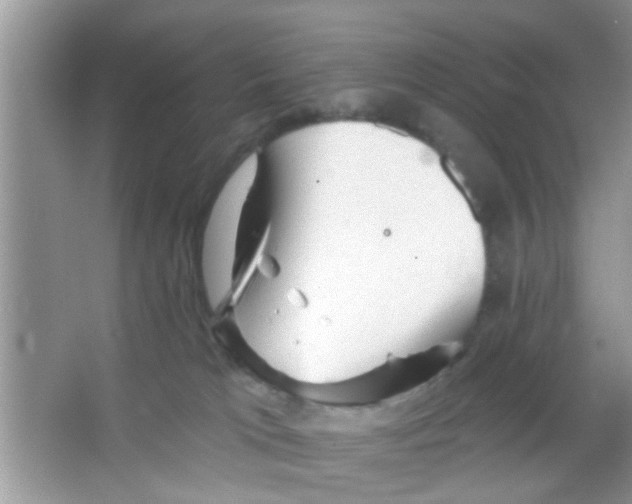 X0000065970037200603311850