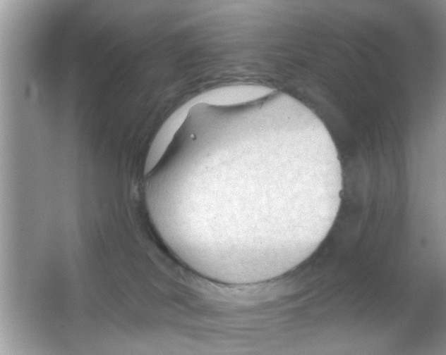 X0000065970038200603311850