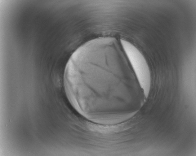 X0000065970039200603311850