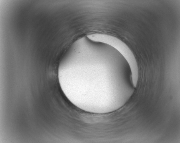 X0000065970040200603311850