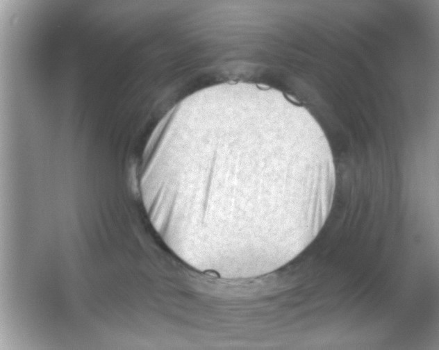 X0000065970042200603311850