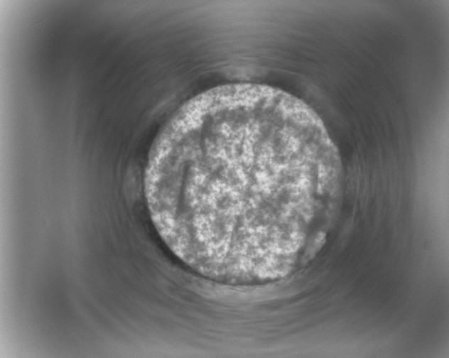 X0000065970043200603311850