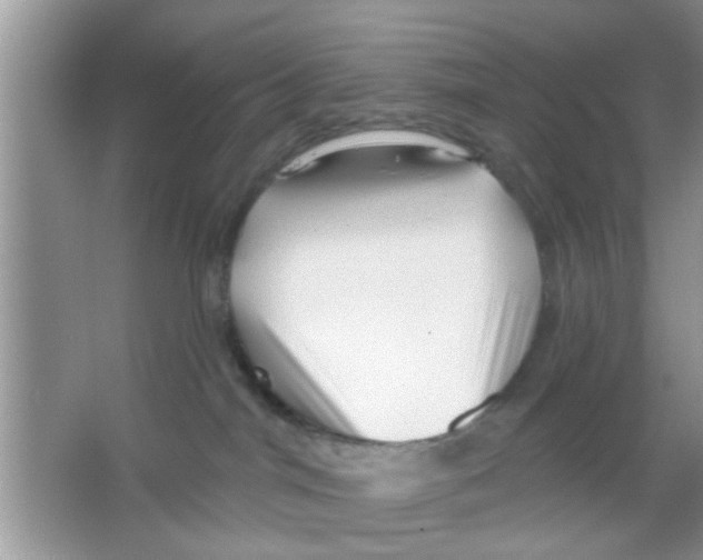 X0000065970044200603311850