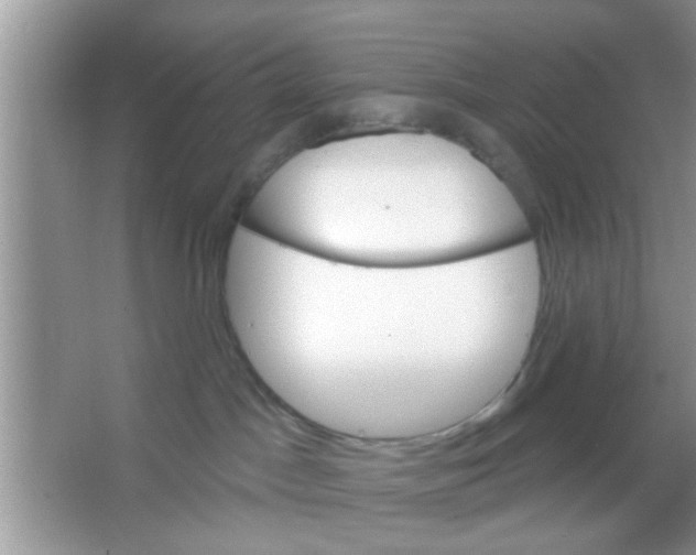 X0000065970045200603311850