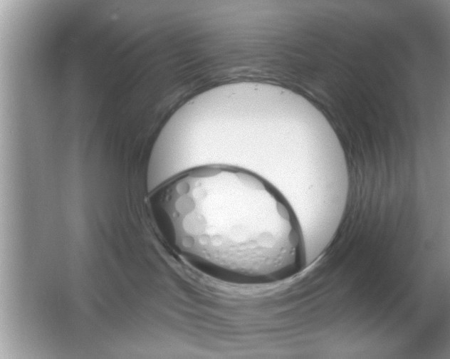 X0000065970047200603311850