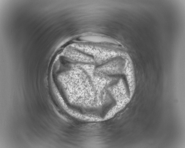 X0000065970050200603311849