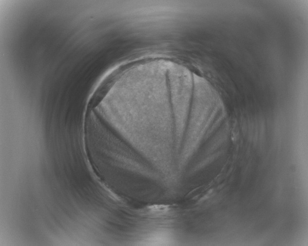 X0000065970052200603311849