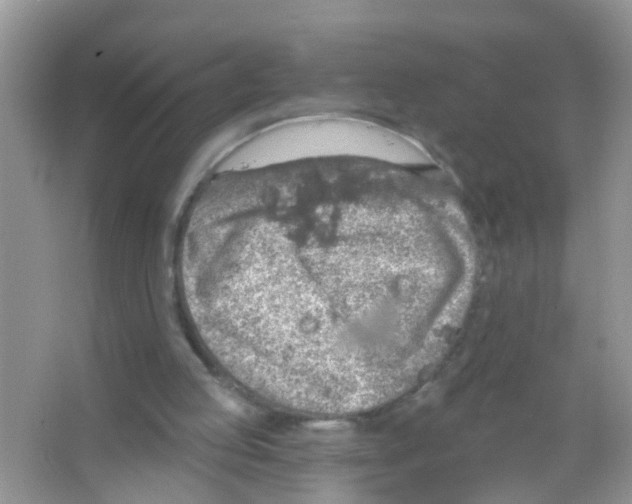 X0000065970053200603311849