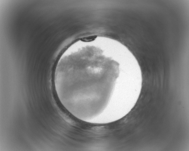 X0000065970054200603311849