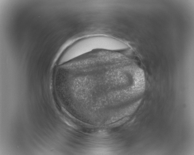 X0000065970056200603311849