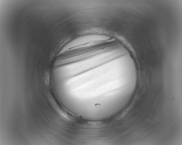 X0000065970057200603311849