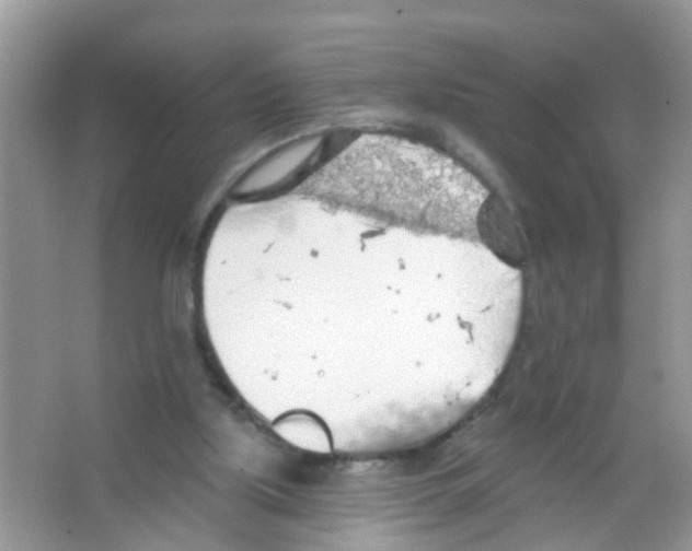 X0000065970059200603311849