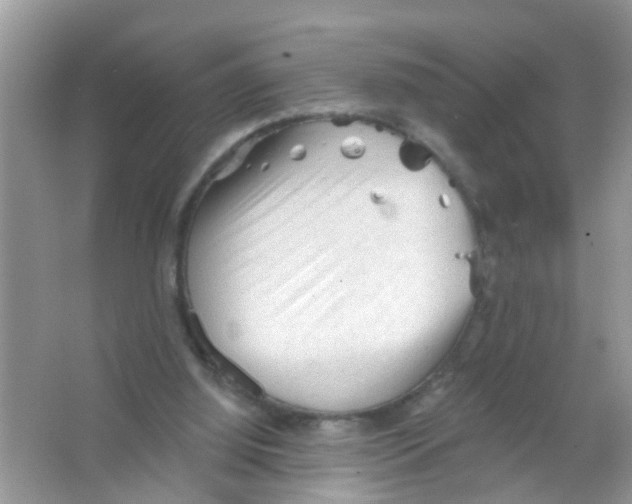 X0000065970060200603311849