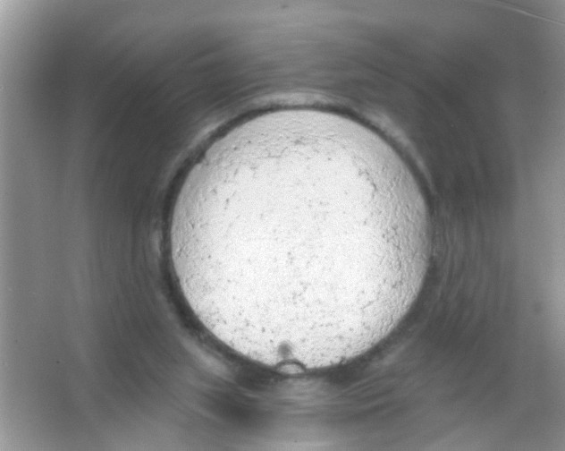 X0000065970063200603311849