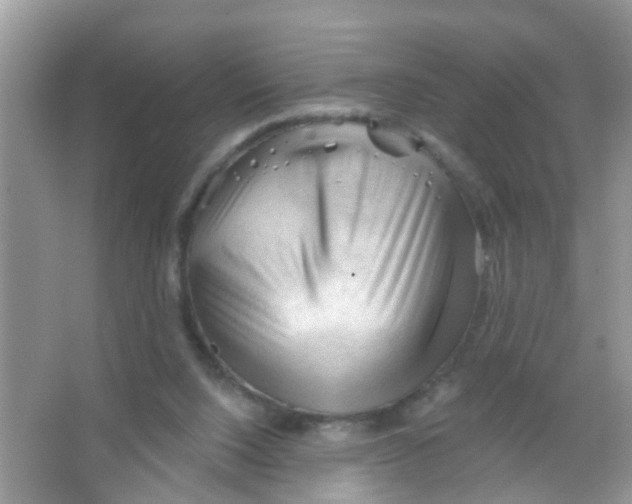 X0000065970064200603311849