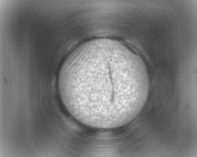 X0000065970066200603311849