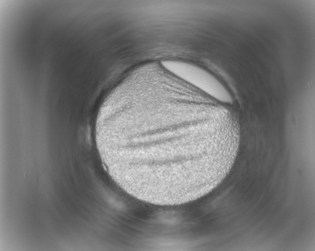 X0000065970067200603311849