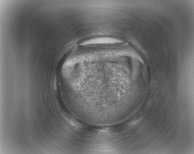 X0000065970068200603311849