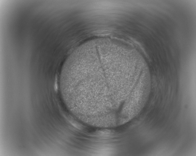 X0000065970069200603311849