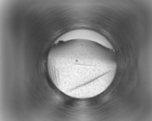 X0000065970071200603311849