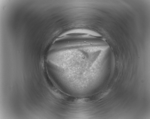 X0000065970072200603311849