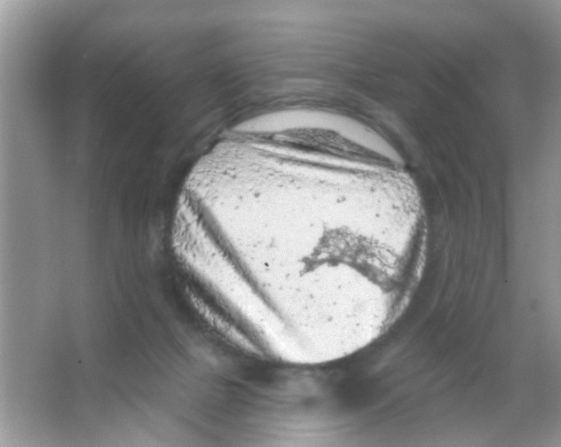 X0000065970073200603311849