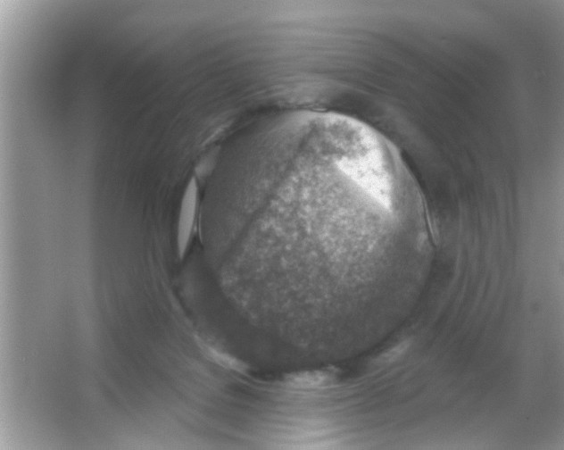 X0000065970076200603311849