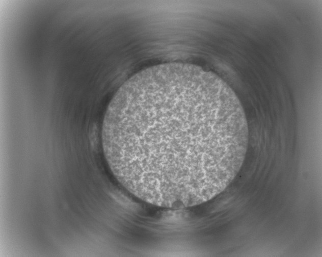 X0000065970077200603311850