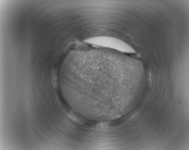 X0000065970080200603311850