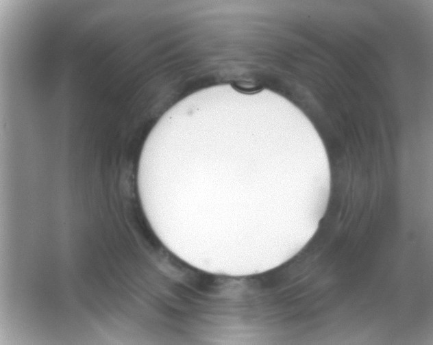 X0000065970083200603311850