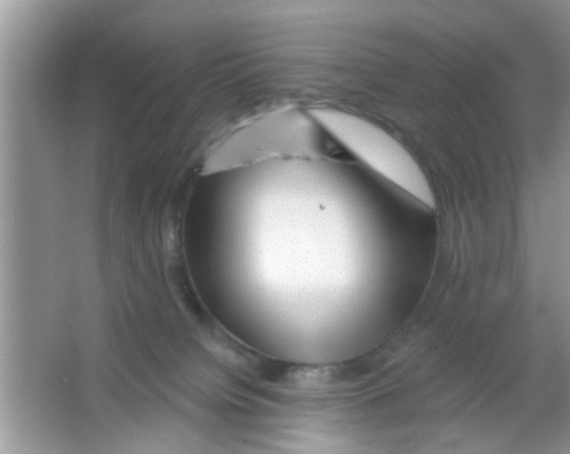 X0000065970084200603311850