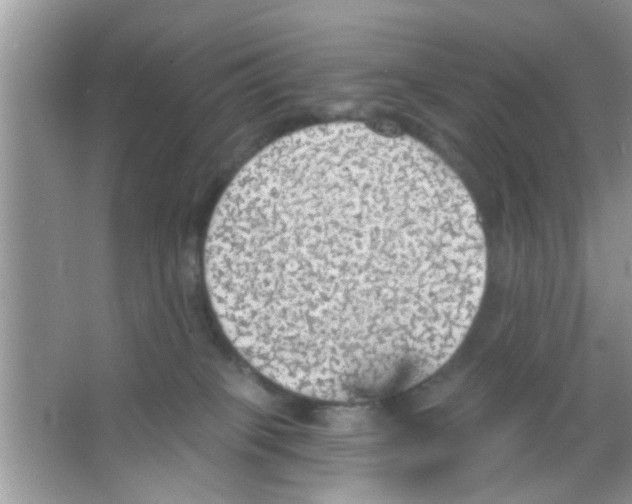 X0000065970085200603311850