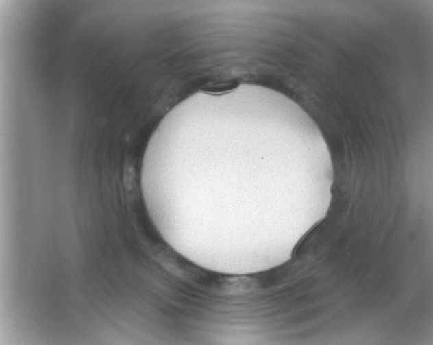 X0000065970087200603311850