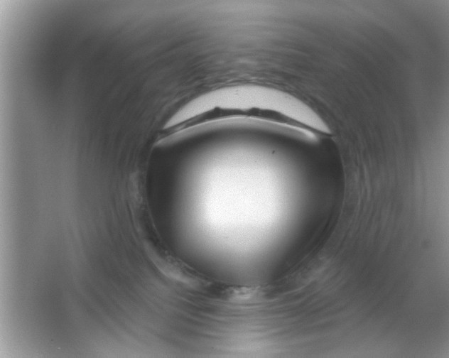 X0000065970088200603311850