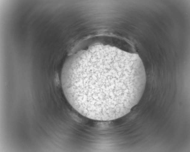 X0000065970089200603311850