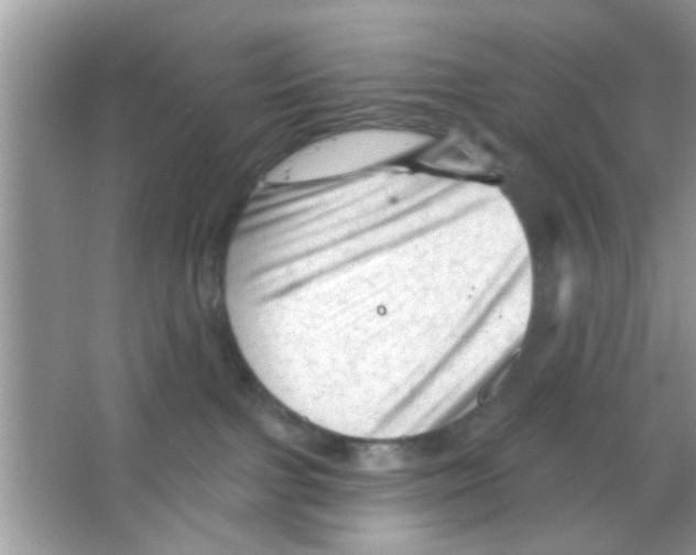 X0000065970091200603311850