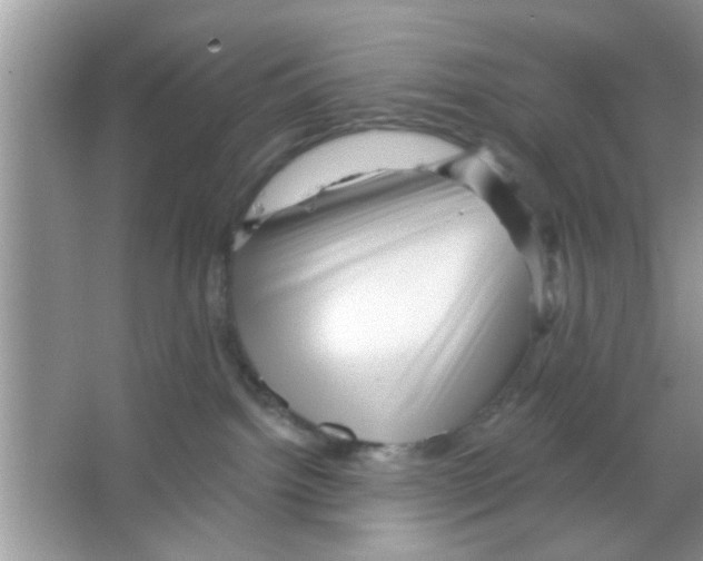 X0000065970092200603311850