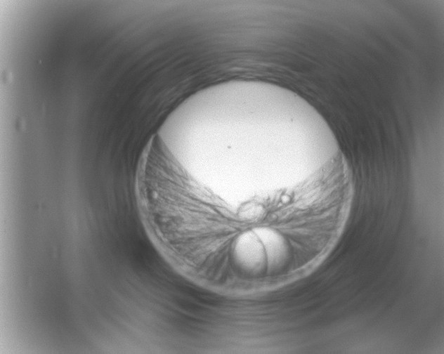 X0000065970094200603311850