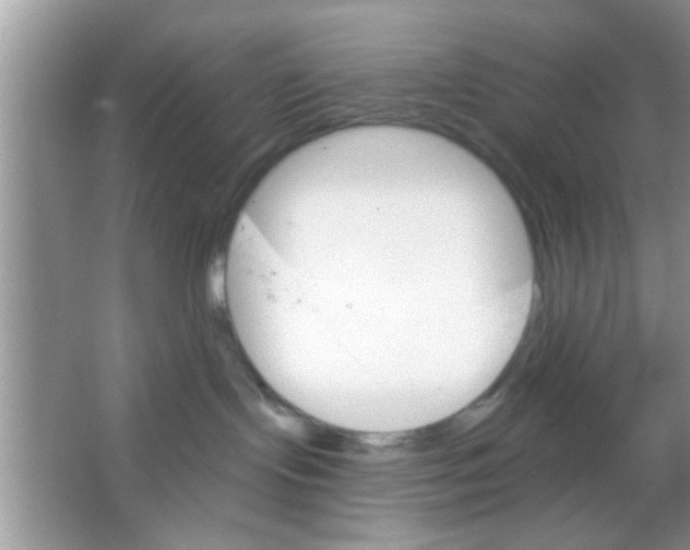 X0000065970095200603311850