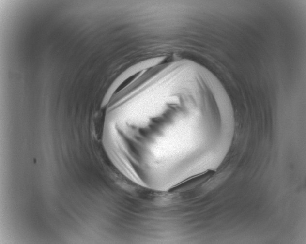 X0000065970096200603311850