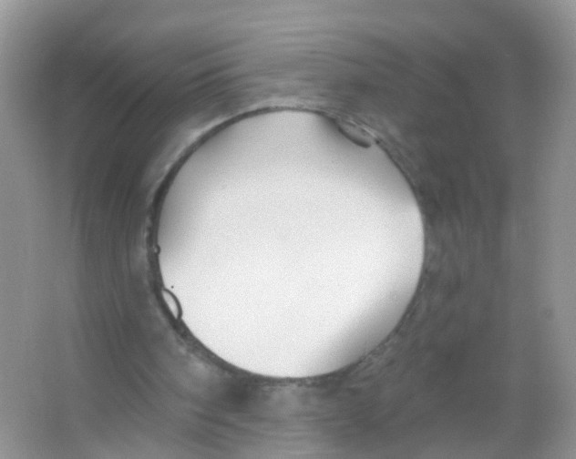 X0000065970098200603311849